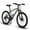 Gray & Green, variant on 24-Inch Adult Mountain Bike, 21-Speed, Dual Disc Brakes & Front Suspension, Steel Frame – Gray & Green