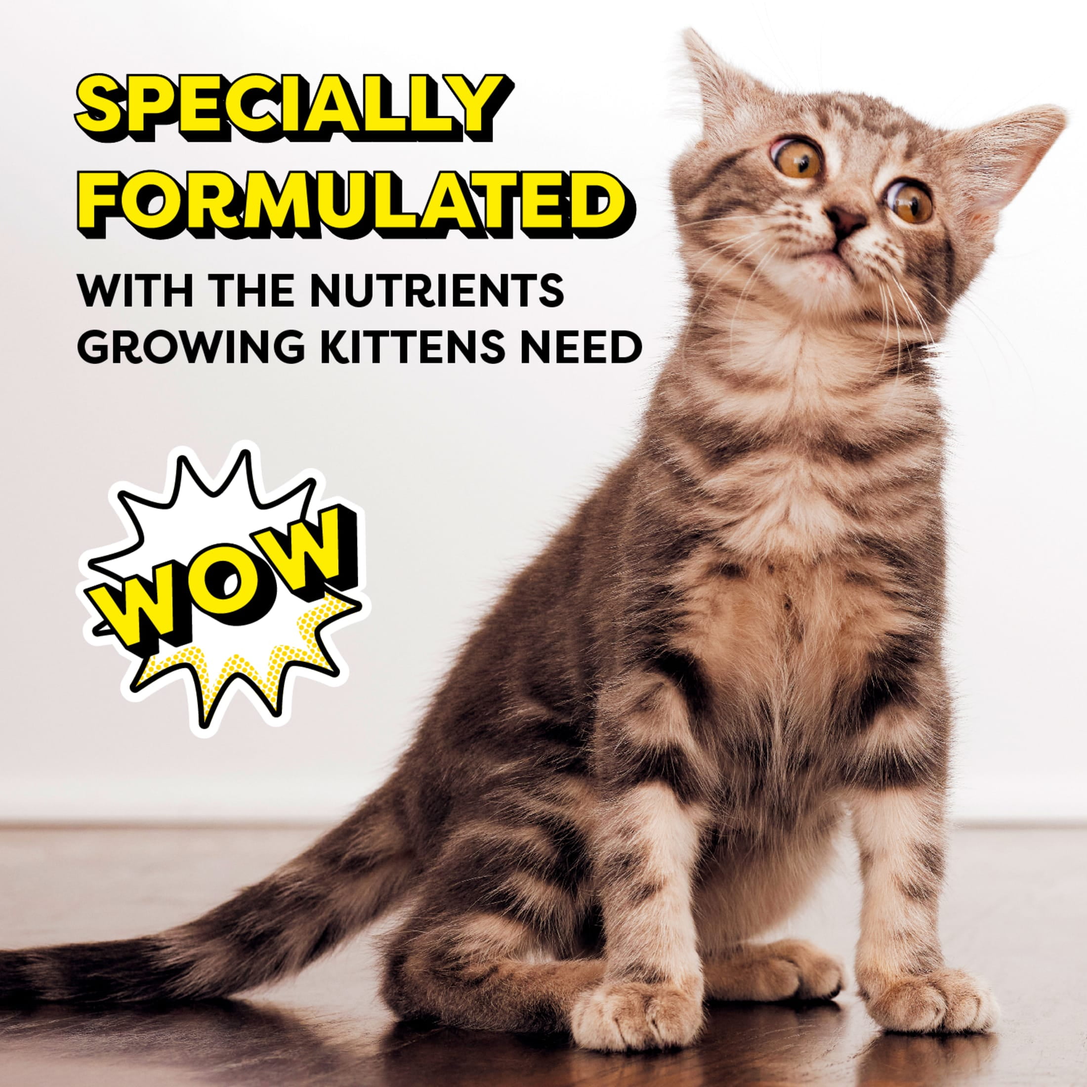 Temptations Tasty Chicken & Dairy Flavor Kitten Dry Cat Food, 13.5 lb Bag
