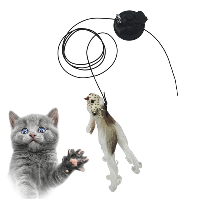 Juguetes para varita de plumas de gato interactiva, ventosa potente, juguete de varita de pájaro de plumas de gato, para herramienta de , D D Salvador Juguetes de palo de gato