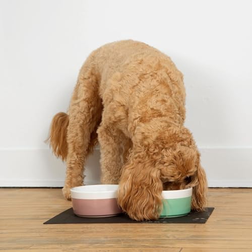 Dipper Ceramic Dog Bowl for Small and Large Breeds - Heavyweight and Durable Pet Food and Water Dish Crock, Dishwasher Safe, Modern (Mint, Medium)