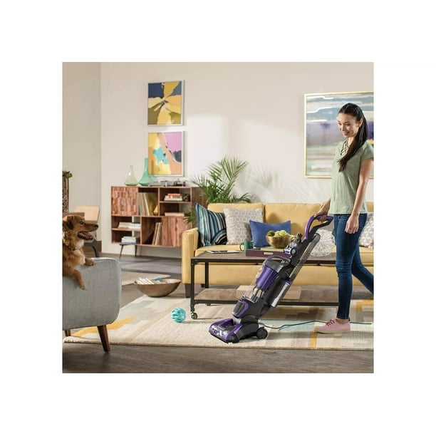 Dirt Devil Pet Vacuum - Carpet vacuums for home goods stores