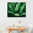 thumbnail image 3 of ONETECH Tropical Plant Green Leaf Wall Art Boho Botanical Palm Picture Wall Decor Minimalist Monstera Canvas Poster Painting Artwork for Bedroom Living Room Bathroom Bedroom Office Home Decoration, 3 of 5