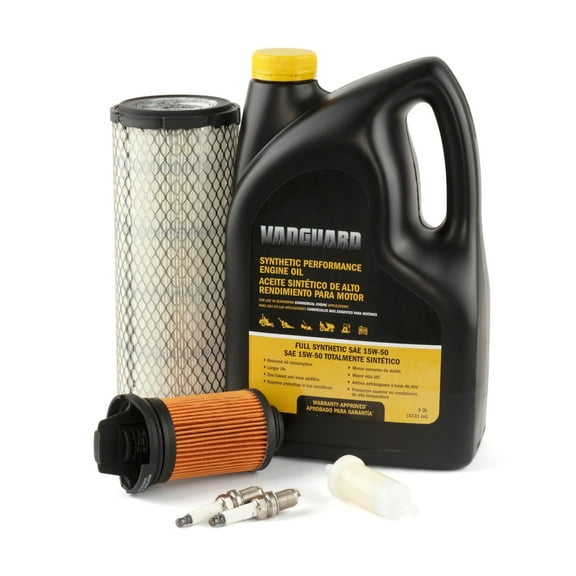 Briggs & Stratton Genuine OEM Replacement Maintenance Kit # 84002318