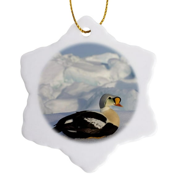 3drose, King Eider Bird, Chuckchi Sea, Arctic Alaska - Us02 Ska3236 - Steve Kazlowski, 3 inch Snowflake Porcelain Ornament