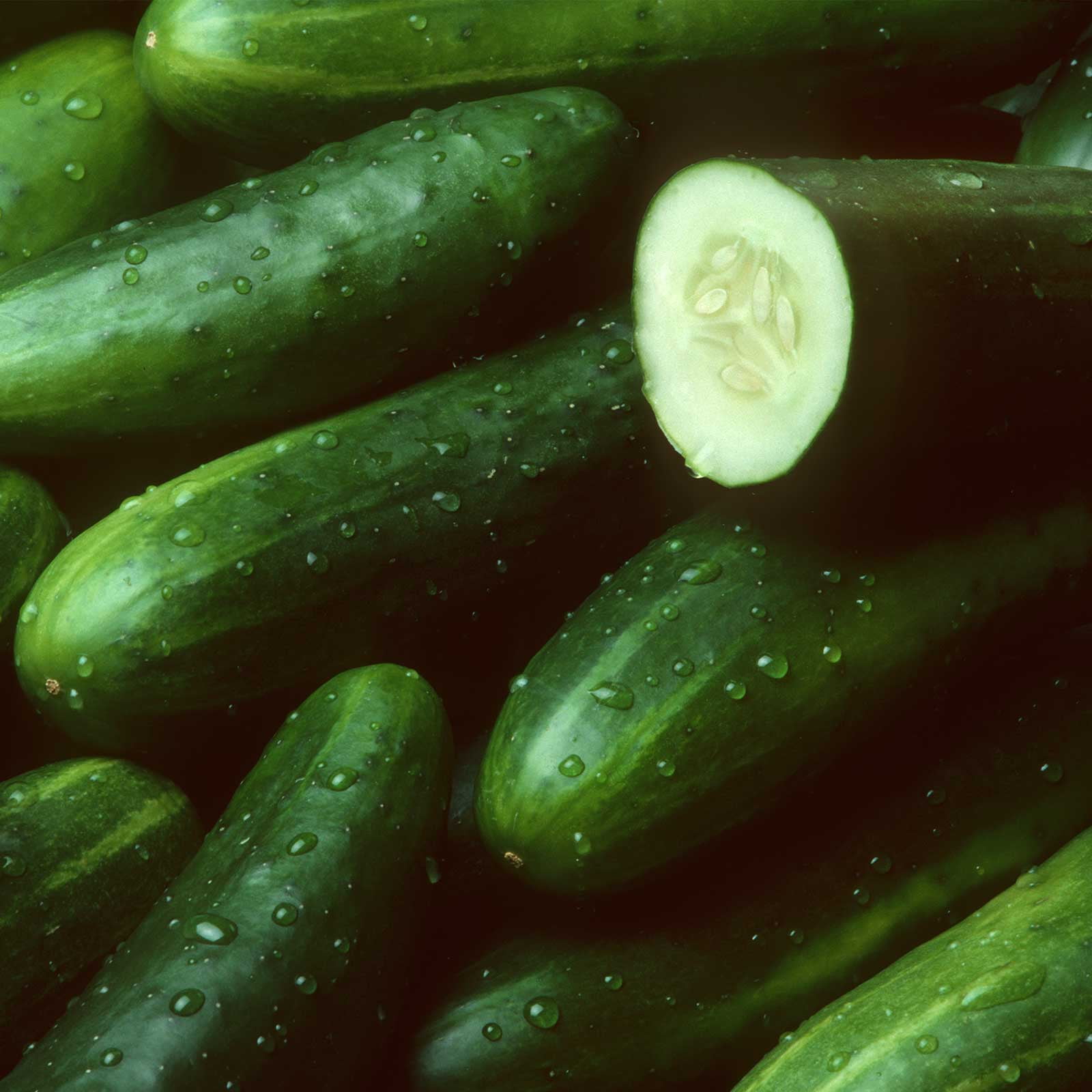 Big choice! Heirloom Vegetable seeds Cucumber F1 Hybrid High-Yielding