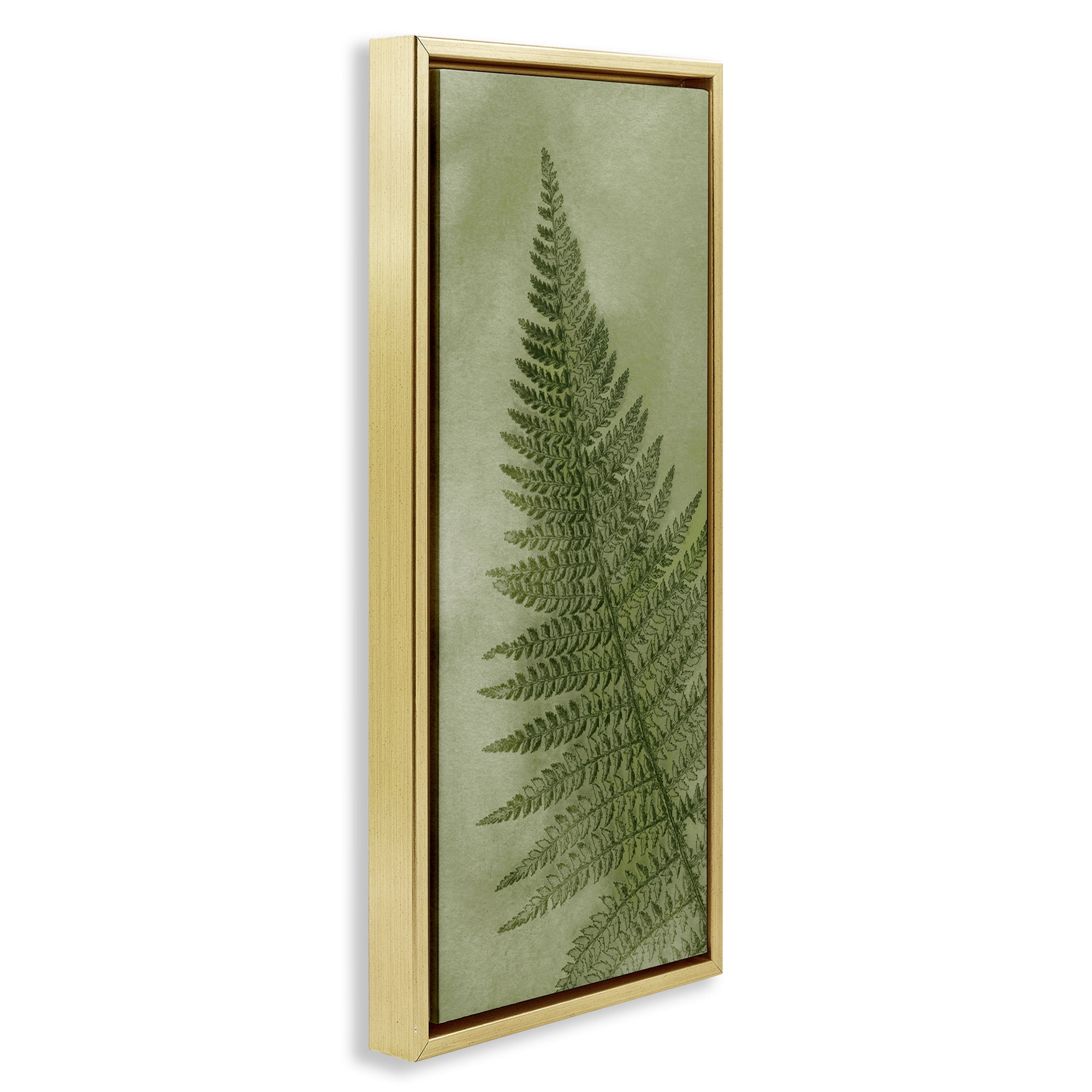 Stupell Industries Detailed Green Fern Leaf Botanical & Floral Painting Gold Floater Framed Canvas Art Print Wall Art, 11 x 25