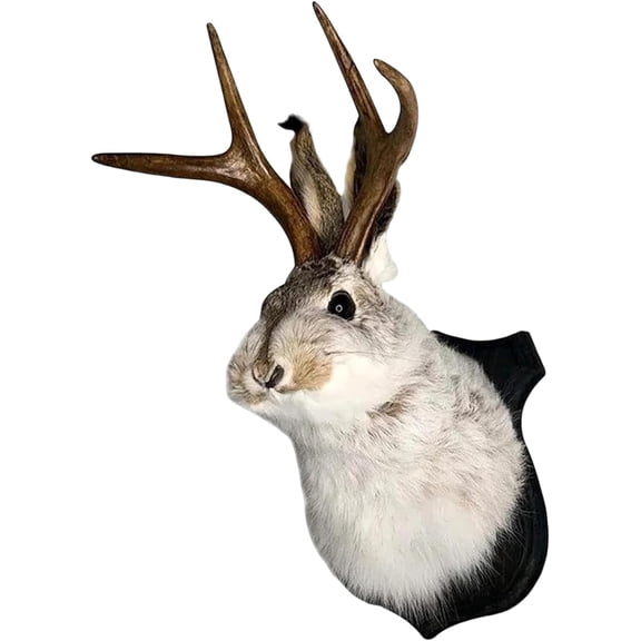 Jackalope Wall Mount, Resin Deer Head Wall Mount, Lifelike Animal Head Sculpture, Faux Deer Head Decoration for Home & Office Walls