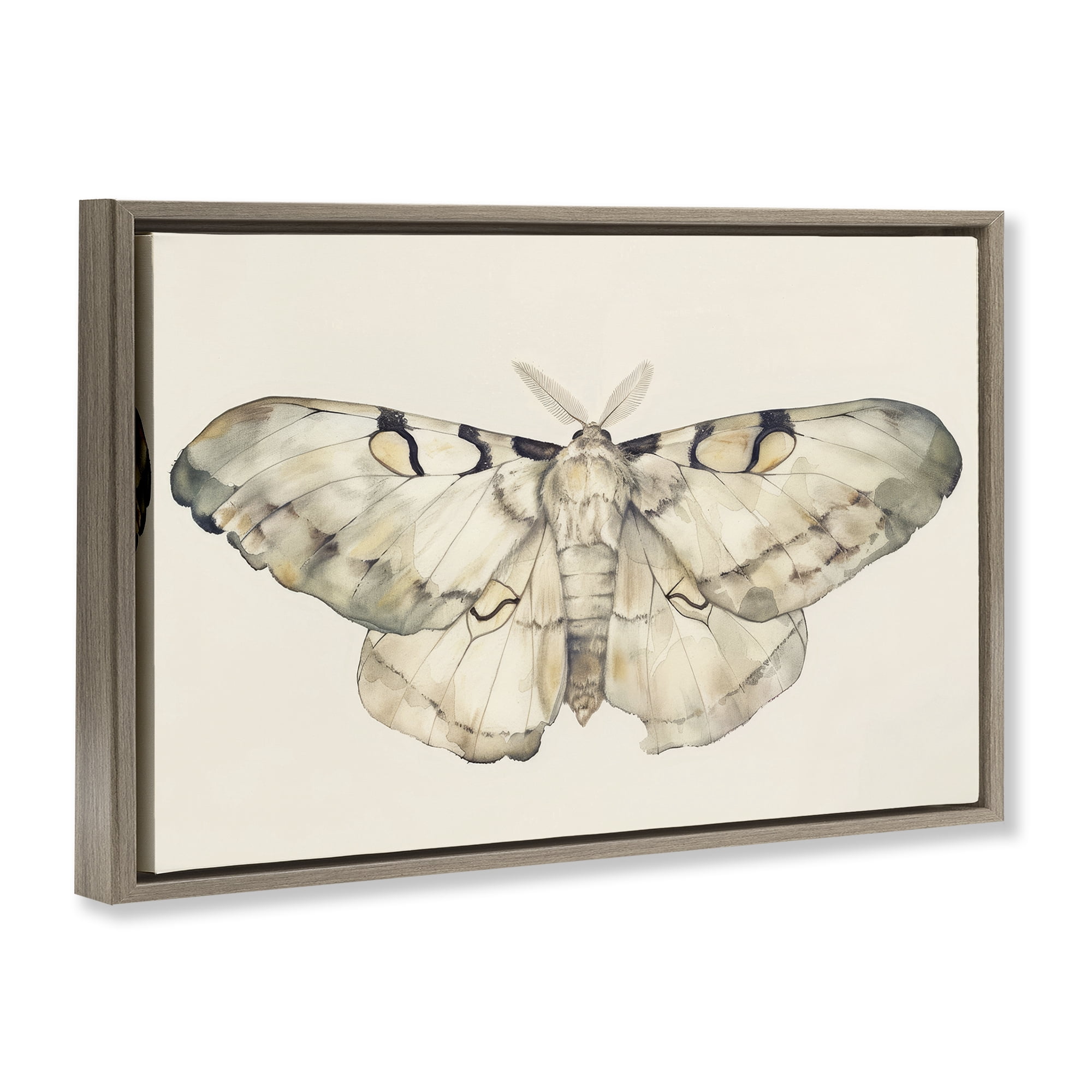 Stupell Industries Dusty Beige Moth Animals Painting Brown Floater Framed Canvas Art Print Wall Art, 25 x 17