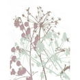 thumbnail image 3 of Stimson, Diane 12x14 Black Modern Framed Museum Art Print Titled - Tranquil Grass 1, 3 of 5