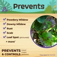thumbnail image 3 of Bonide Captain Jack's 64 oz Neem Max Ready-to-Use Spray for Fungus, Insect, Mite & Nematode Control, 3 of 9