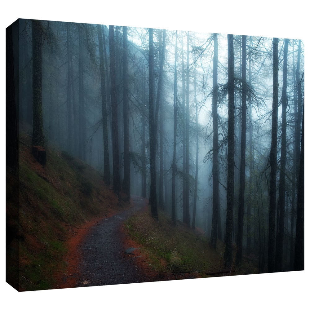 ArtWall John Black "Woods" Gallery-Wrapped Canvas