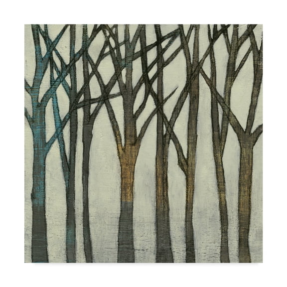 Trademark Fine Art 'Birch Line II' Canvas Art by Jennifer Goldberger