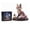 Fox#18, variant on 2026 New Mythical Ocean Beading Kits - Elegant 3D Beaded Kit Series, Shimmering Sea Beads Construction Set with Step-by-Step Photo Guide (Turtle)