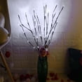 thumbnail image 4 of Cadena De Luz Simulación Rama Vacaciones Decoración Del Hogar Luz Simulación Rama Luz Led Habitación Nórdica Diseño De Dormitorio Pequeña Luz Nocturna Barra Transparente Decorativa Eigraketly HA025941-02, 4 of 6