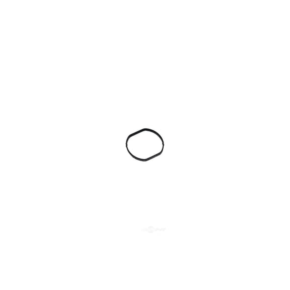 ACDelco 15-34584 SEAL-WAT OTLT
