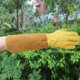 thumbnail image 4 of Suministro de Fundas Protectoras para Puños Elásticos para Piel de Apicultor, a medida L Zulema Guantes de piel de cabra, 4 of 8