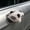 Gray, variant on Magnetic Plush Animal Car Decor, 10cm Kawaii Stuffed Animal Ornament for Car Exterior, Cute Magnetic Decoration for Dashboard, Side Mirror, Refrigerator, Locker