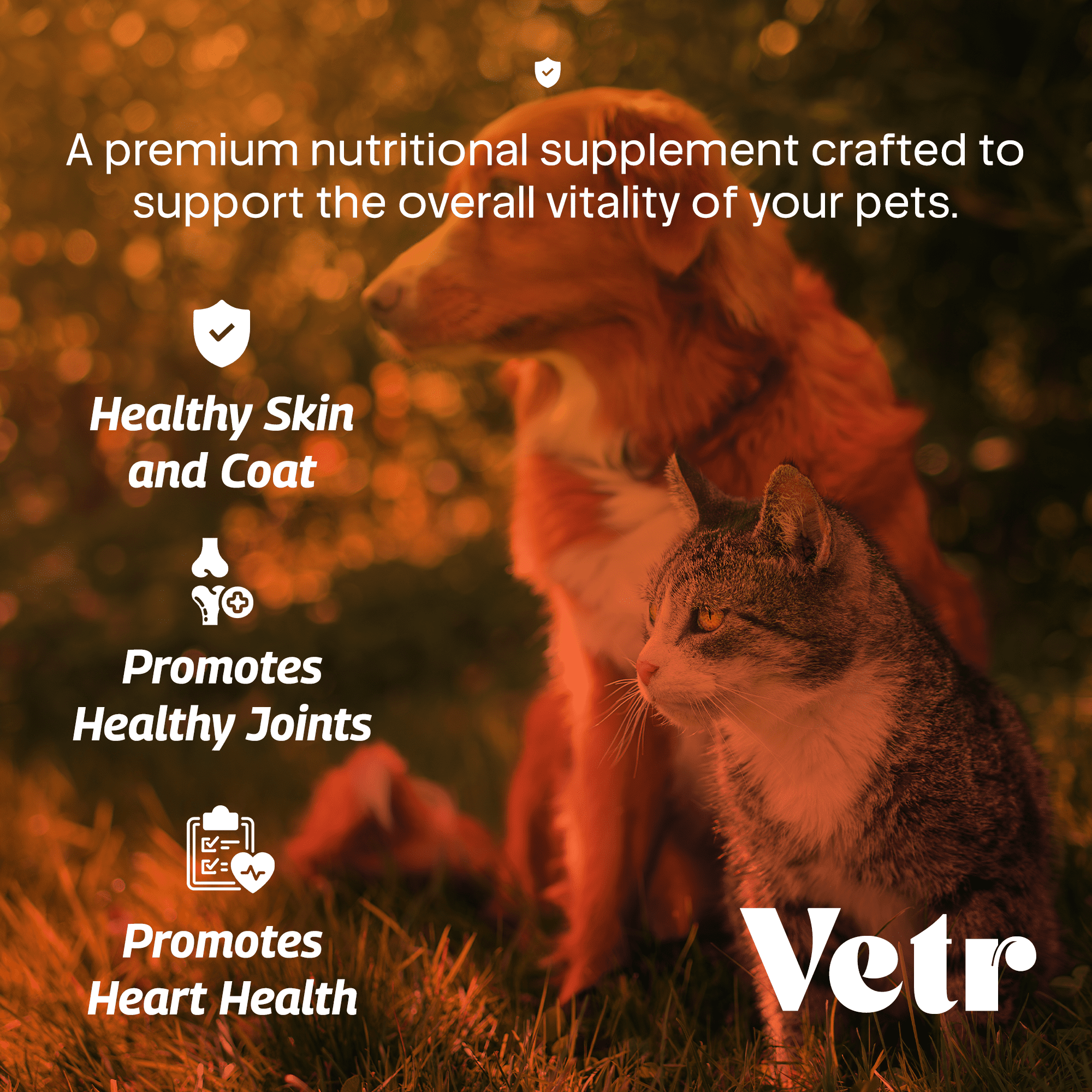 Norwegian Salmon Oil for Dogs & Cats, 16.9 oz - Omega 3 Fish Oil for Healthy Skin, Shiny Coat, Joint & Heart Health