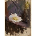 thumbnail image 2 of Jan Ciągliński 19x24 Gold Ornate Framed and Double Matted Museum Art Print Titled - White Flower, Study, 2 of 4