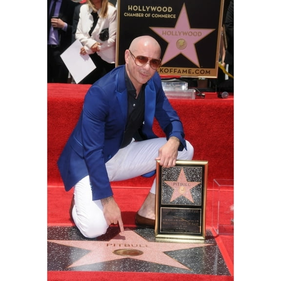 Pitbull At The Induction Ceremony For Star On The Hollywood Walk Of Fame For Pitbull, Hollywood Boulevard, Los Angeles, Ca July 15, 2016. Photo By Michael GermanaEverett Collection Celebrity