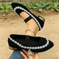 thumbnail image 3 of Willtoo Mary Jane Shoes Women Rhinestone Low Block Heel Pointed Toe Dress Flats Elastic Strap Slip On Non Slip Walking Shoes, 3 of 4