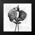 thumbnail image 2 of Pertiet, Katie 15x15 Black Modern Framed Museum Art Print Titled - Spa Botanical III BW, 2 of 5
