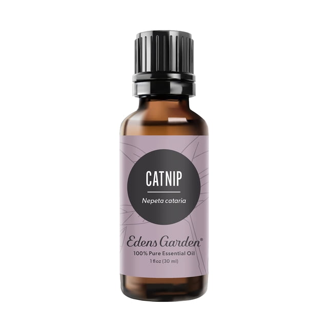Aceite esencial Edens Garden Catnip 30 ml (1 fl oz) para aromaterapia
