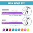 thumbnail image 6 of BAAPET Two Handle Dog Leash, Dual Soft Padded Handles with Traffic Control Handle Leash for Small Medium or Large Dogs (3/4'' x 5 FT, Purple), 6 of 7