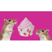 Prevue Pet Products Playfuls Pink Cupcake Mineral Block for Small Animals