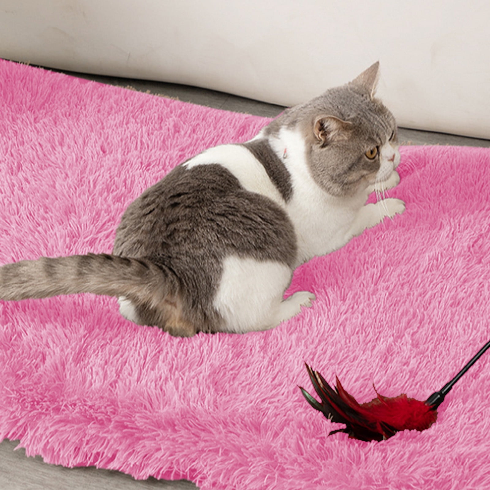 Maison Pour Chat Pliable 2 En 1 - Niche Fermée Avec Lit Doux - Portable Avec Poignée - Taille S, M, L - Antidérapant