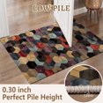 thumbnail image 2 of 2x3 Entryway Rug Bathroom Rugs for Front Door Bedroom Kitchen, Washable Vintage Print Carpet, Floor Mat with Non Slip Backing, 2 of 8