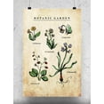 thumbnail image 1 of Botanic Garden Art Poster - Smartprints Designs,, 1 of 2