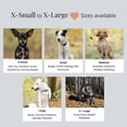 thumbnail image 4 of Set de collar y correa Lucky Love Dog Rainbow para perros medianos, 4 of 8