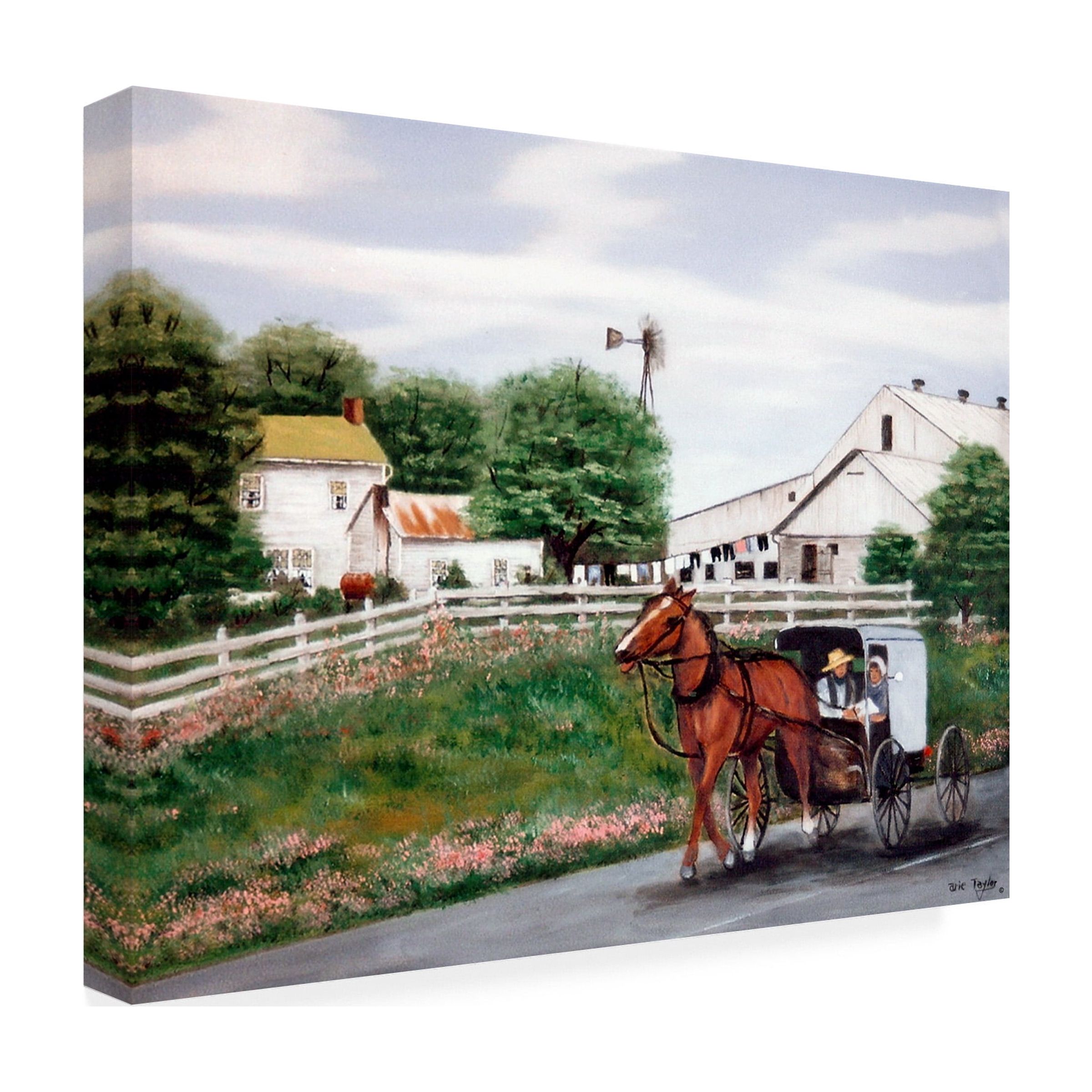 Trademark Fine Art Arie Reinhardt Taylor Amish Country 1 Canvas Wall Art - 24x32
