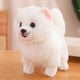 thumbnail image 2 of New 26cm Cute Plush Pomeranian Dog Real Life Plush Toy Stuffed Animals Soft Puppy Pet Doll Children Kids Girls Lovely Gift Banmo, 2 of 5