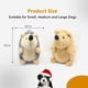 thumbnail image 5 of Juguetes chirriantes para perros, juguetes masticables duraderos y arrugados para perros para cachorros, juguetes interactivos para perros (gris+amarillo, erizos), 5 of 5