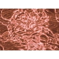 thumbnail image 1 of Ahgly Company Tapis Rectangulaire Rouge Lavable en Machine, 2 Pieds x 3 Pieds, 1 of 7