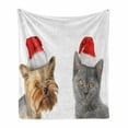thumbnail image 1 of Christmas Soft Flannel Fleece Throw Blanket, Cat and Dog with Xmas Hats Domestic Pet Animals Holiday Celebration, Cozy Plush for Indoor and Outdoor Use, 50" x 70", Orange Grey Red, by Ambesonne, 1 of 6