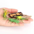thumbnail image 3 of Juguetes educativos Zulema Juego de crecimiento de insectos para niños, 3 of 8