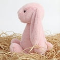 thumbnail image 4 of 9.8" Soft Stuffed Easter Bunny Plush Toy, Cute Floppy Eared Rabbit Pillow, Sweet Plushie for Easter Basket Stuffers & Spring Home Decor, Perfect Gift for All Ages (Sweet Pink), 4 of 8