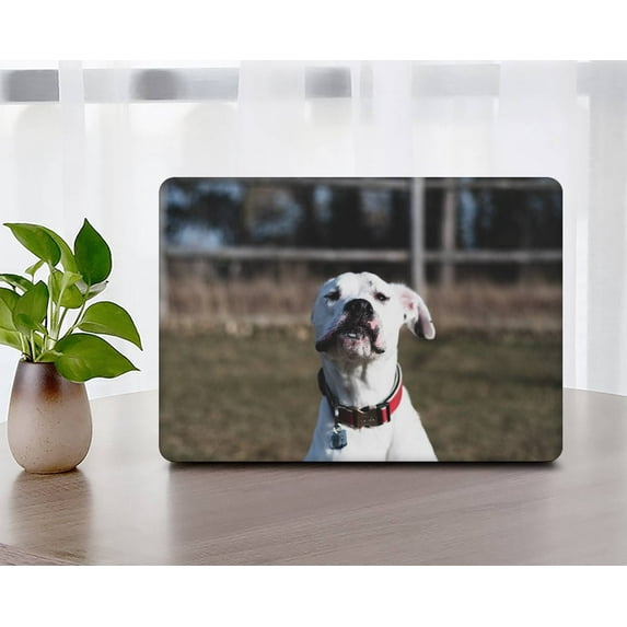 Hard Shell Compatible MacBook Pro 14 inchs( XDR Display & Touch ID, 2021 2022 2023) Cable Tie Model M2 A2779 & A2442 M1, Type C Animal A 0122