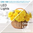 thumbnail image 2 of YGS-Tech 2 Inch LED Recessed Lighting, Dimmable Downlight 3W(35W Halogen Equivalent), CRI80, 5000K Daylight White Ceiling Light w, 2 of 7