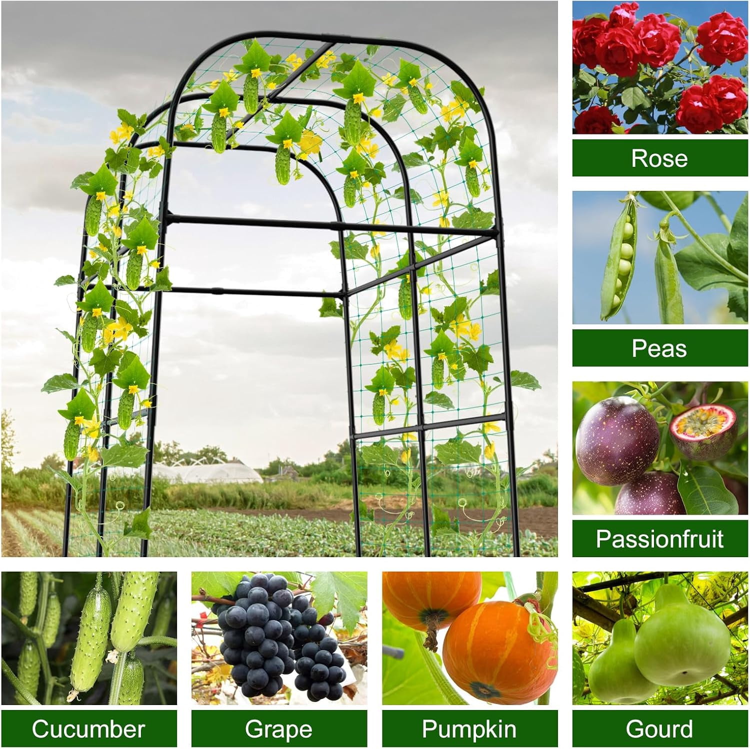 7ft Cucumber Trellis for Raised Bed, Garden Arch Trellis for Climbing Plants Outdoor Indoor, Metal Trellis Support with Net for Vegetables Tomato Zucchini Squash Beans Peas Melons,  Flowers,Vines