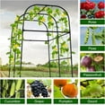 thumbnail image 4 of EAYSG 7.2FT Metal Garden Arch Trellis for Climbing Plants, Heavy Duty Rustproof Steel Support for Cucumbers Squash & Melons, Easy Assembly Outdoor Trellis for Vegetables and Flowers, 4 of 6