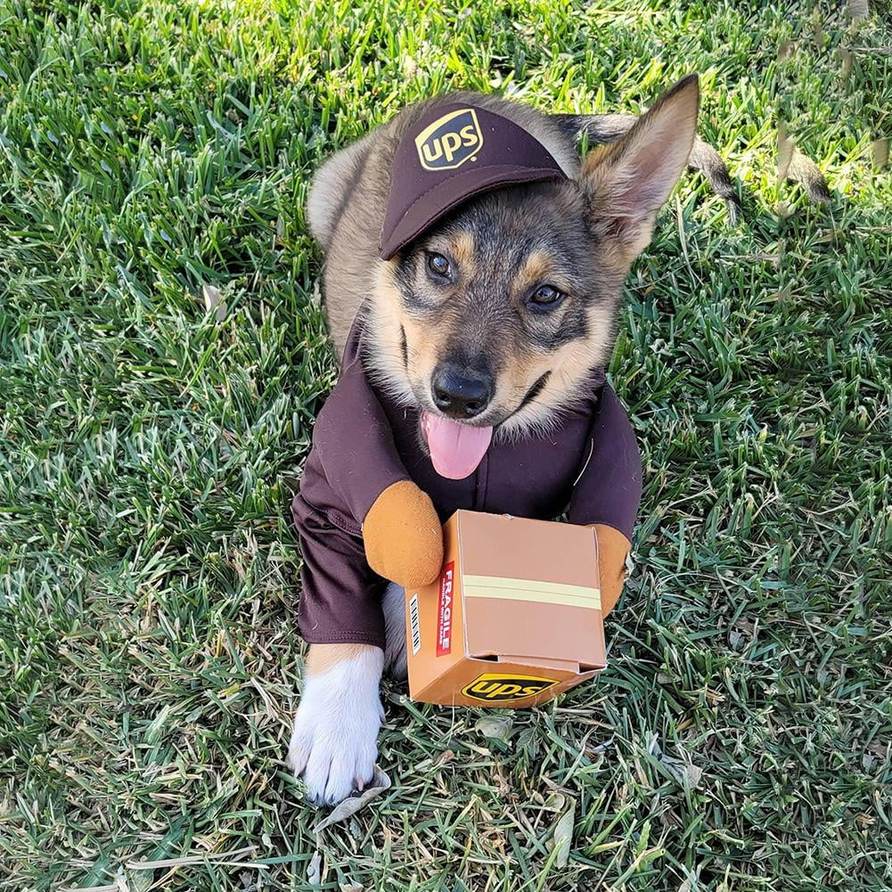Pet Halloween UPS Courrier Costume Walmart
