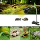 thumbnail image 3 of Lámpara de calor para tortugas, luz solar para reptiles, 25w + 50w + 75w, foco de calor Uva Uvb Rojo Verde Cocina, Decoración y Otros, 3 of 5