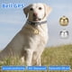 thumbnail image 4 of Labymos Timbre inteligente para mascotas, localizador GPS, 4 of 8