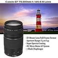 thumbnail image 4 of Canon EOS Rebel T7 DSLR Camera with 18-55mm is II Lens Bundle + Canon EF 75-300mm f/4-5.6 III Lens and 500mm Preset Lens + 32GB Memory + Filters + Monopod + Spider Flex Tripod + Professional Bundle, 4 of 7