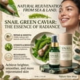 thumbnail image 5 of Nature Skin Shop Snail and Green Caviar Repair Serum Hydrating Facial Treatment for Fine Lines and Texture Smoothing 1 ounce, 5 of 7