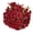 Red, variant on Expert Gardener 3QT Yellow Mum Live Plant